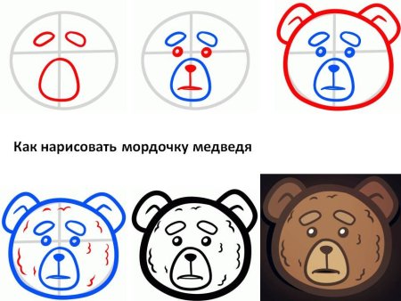 Как нарисовать морду медведя