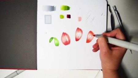 Рисунки спиртовыми маркерами