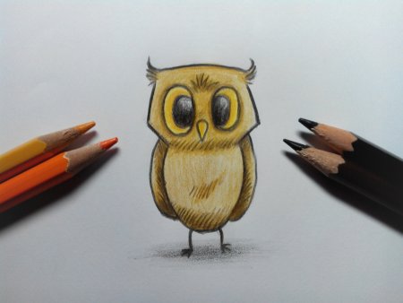 Сова карандашом