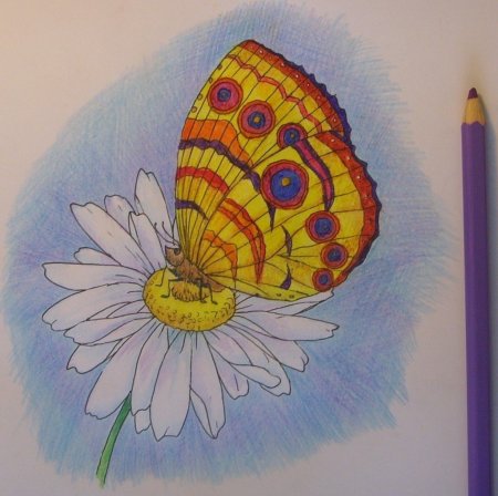 Несложные рисунки цветными карандашами