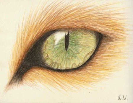 Рисунки красками