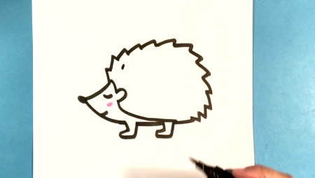Как нарисовать ежика