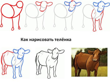 Рисование коровы пошагово