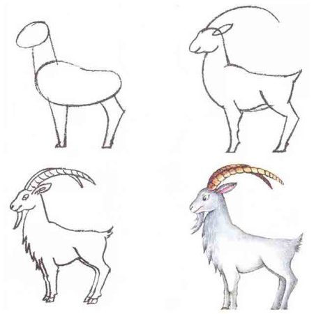 Рисунки по этапно для начинающих