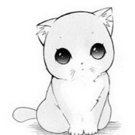 Лёгкий рисунок котика для срисовки