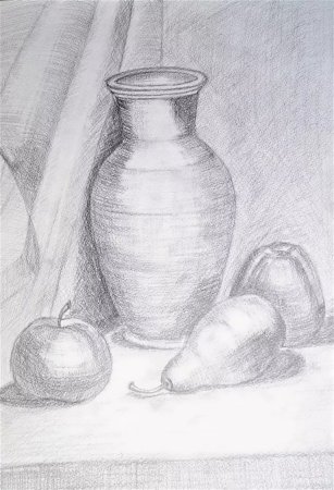 Уроки рисования натюрморта карандашом