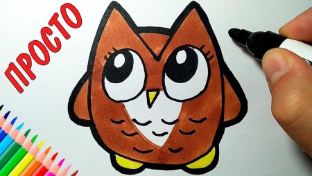 Кот маркерами