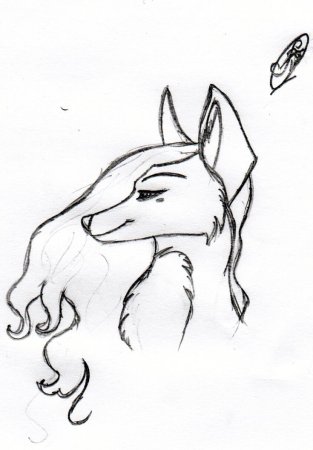 Рисунки для срисовки животные