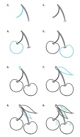 Белка этапы рисования