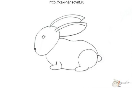 Заяц рисунок легкий