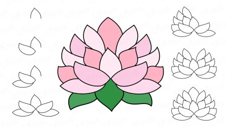 Цветы для срисовки легко