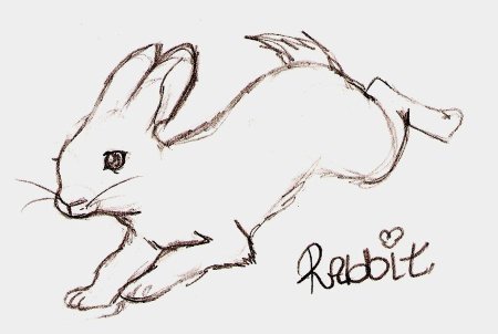 Кролик в движении