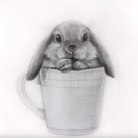 Кролик простым карандашом