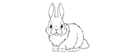 Рисунок зайца карандашом для срисовки