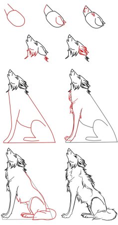 Как рисовать волка