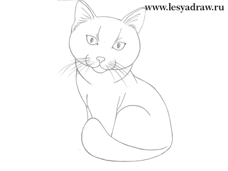 Кошка простым карандашом для начинающих