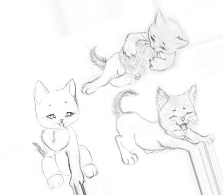 Котик рисунок карандашом