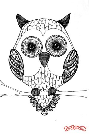 Зентангл Сова