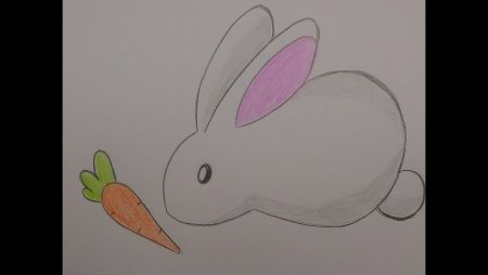 Рисование кролика в средней группе