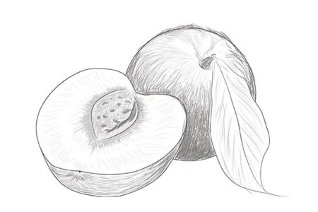 Рисунки фруктов для срисовки