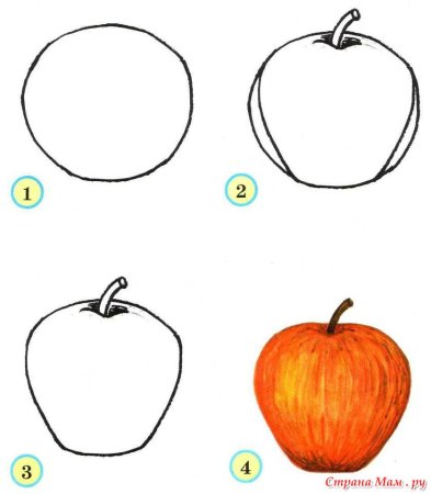 Поэтапное рисование помидора