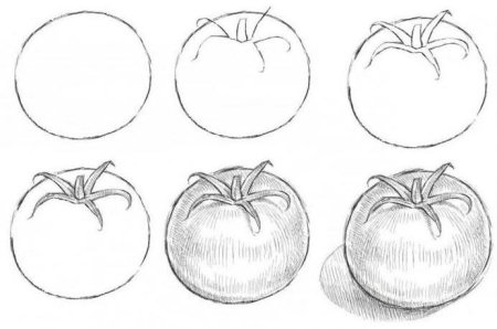 Поэтапное рисование яблока