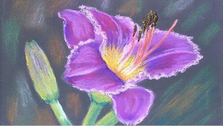 Цветы пастелью сухой