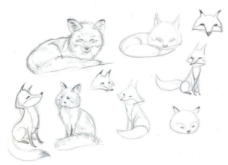 Поэтапный рисунок лисы