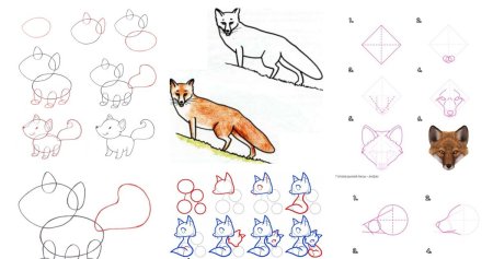 Лиса рисунок карандашом для детей