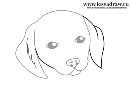 Рисунок собаки легкий