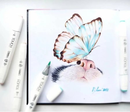 Идеи для рисования перо