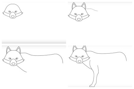 Волк для рисования