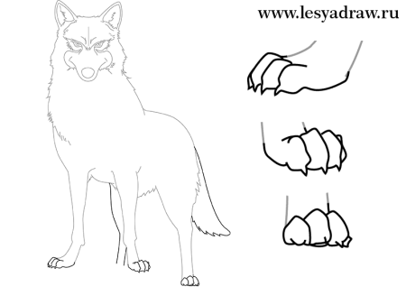 Как научиться рисовать Волков