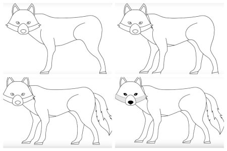 Поэтапное рисование волка