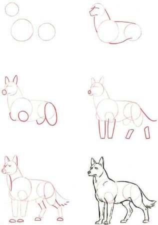 Схема рисования волк для детей старшей группы