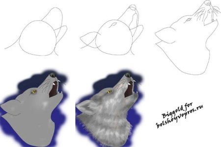 Рисунки карандашом для начинающих