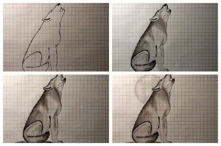 Волк рисуем быстро