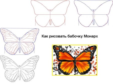 Поэтапное рисование бабочки