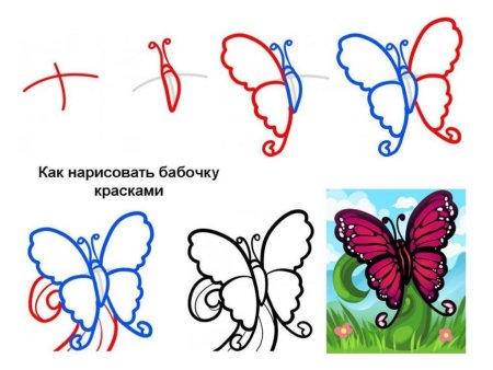 Пошаговое рисование бабочки