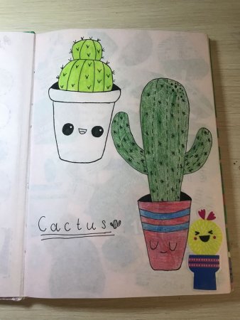 Скетчбук. Кактусы