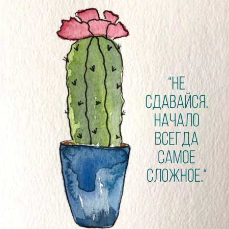 Кактус рисунок для срисовки