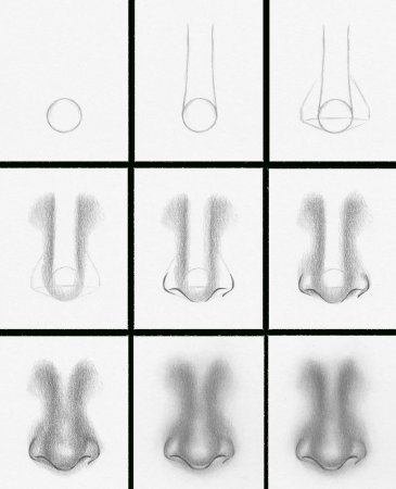 Поэтапные уроки рисования носа