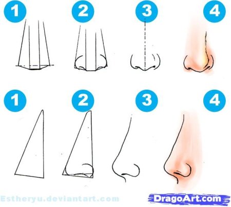 Поэтапное рисование носа