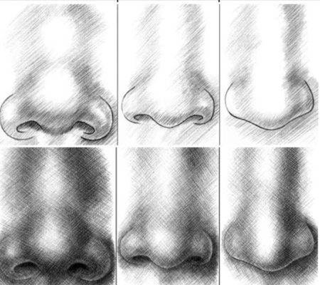 Поэтапное рисование носа