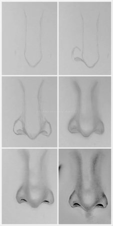 Схема рисования носа