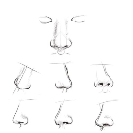 Поэтапно нос снизу