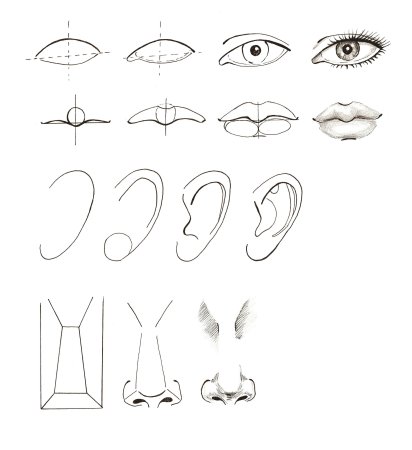 Аниме нос по этапно