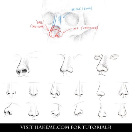 Как научиться красиво рисовать нос