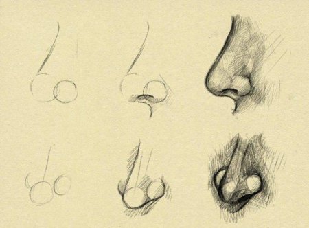 Нос для срисовки карандашом