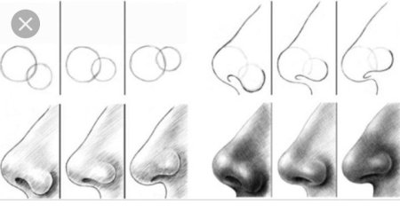 Схема рисования носа